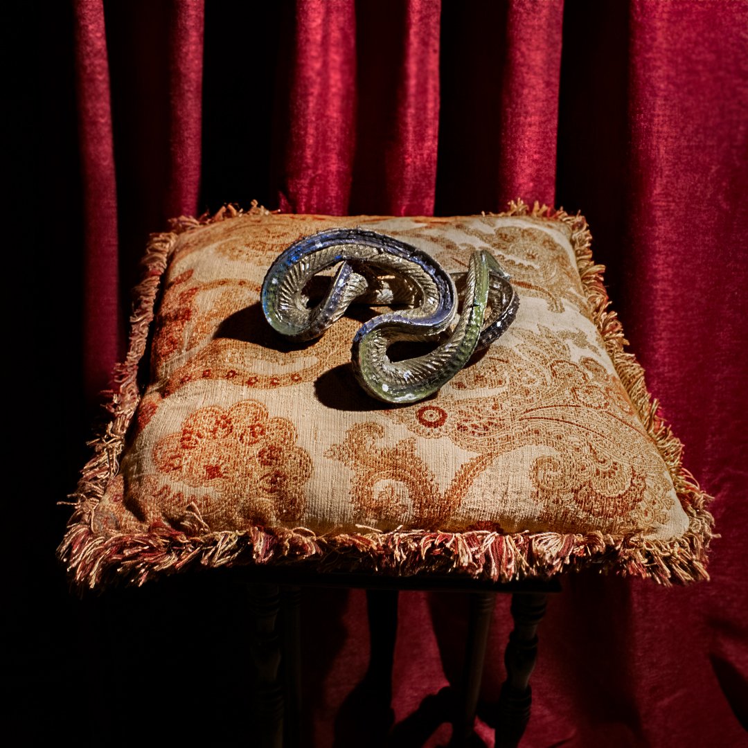 Eternal Serpent: One-of-a-Kind Hand-Mummified Snake Relic Infused with Occult Power product image (1)