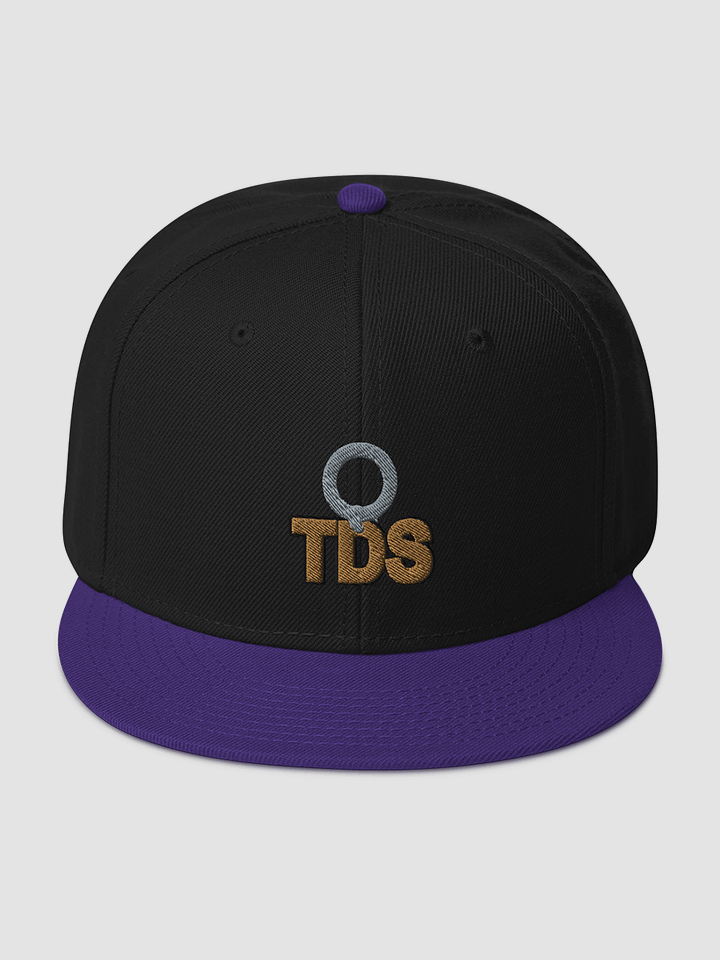 TDS Snapback - Otto Cap product image (1)