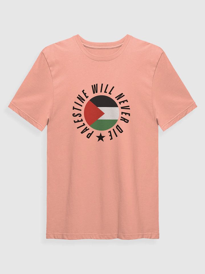 Palestine Flag Circle Tee | Palestine will never die product image (2)