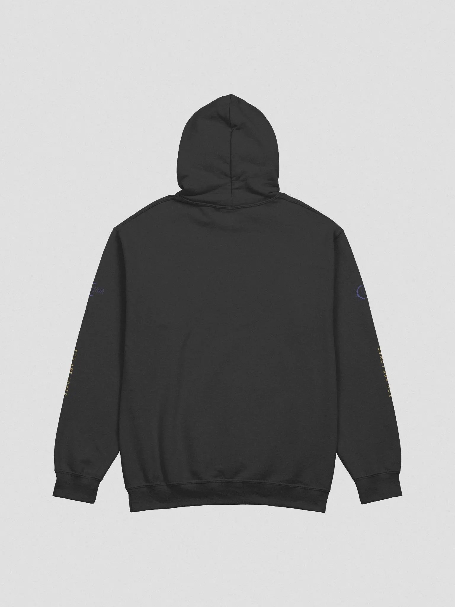 Experience the Lore Hoodie product image (12)