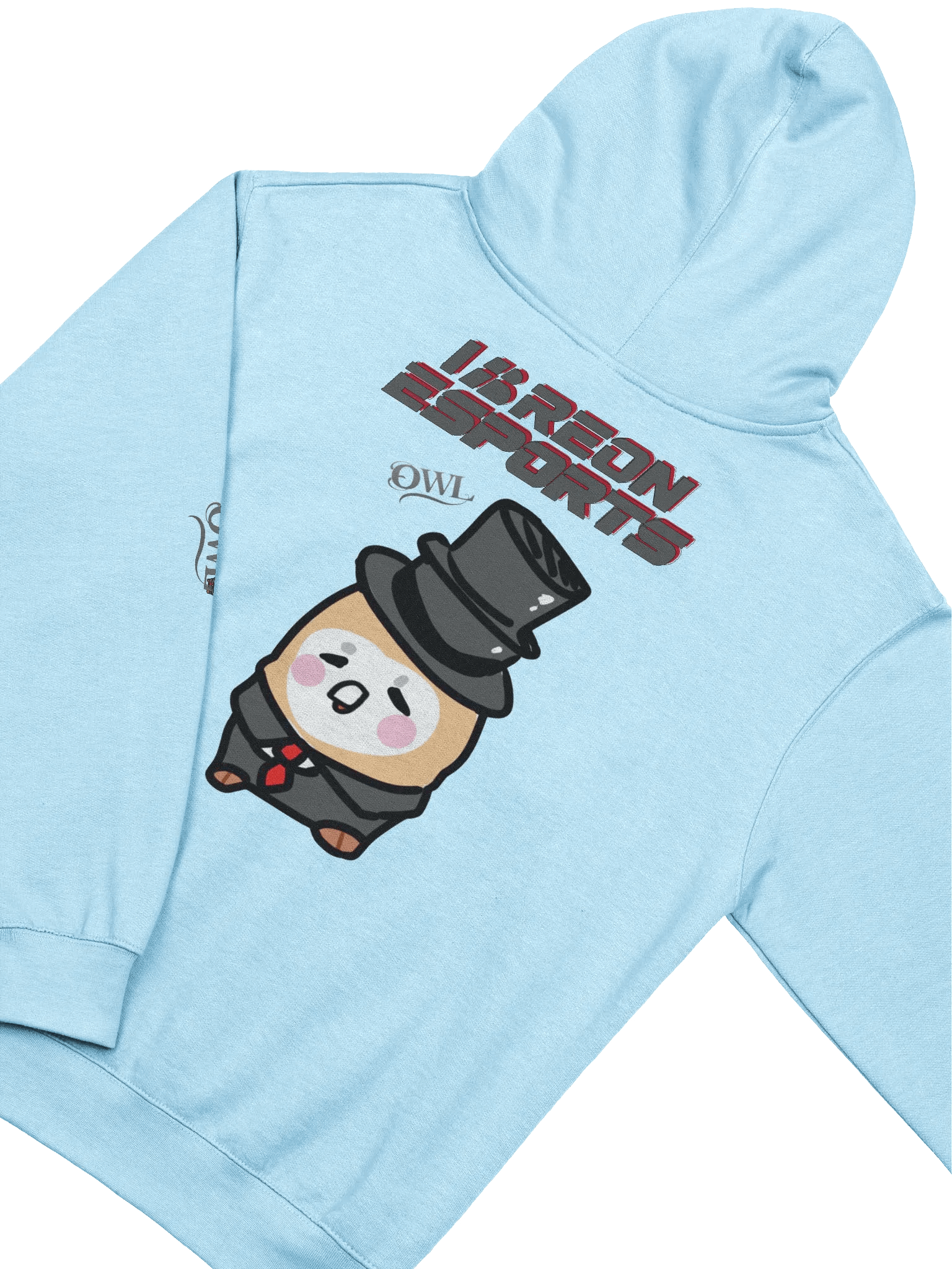IBRN Owl Hoodie product image (19)