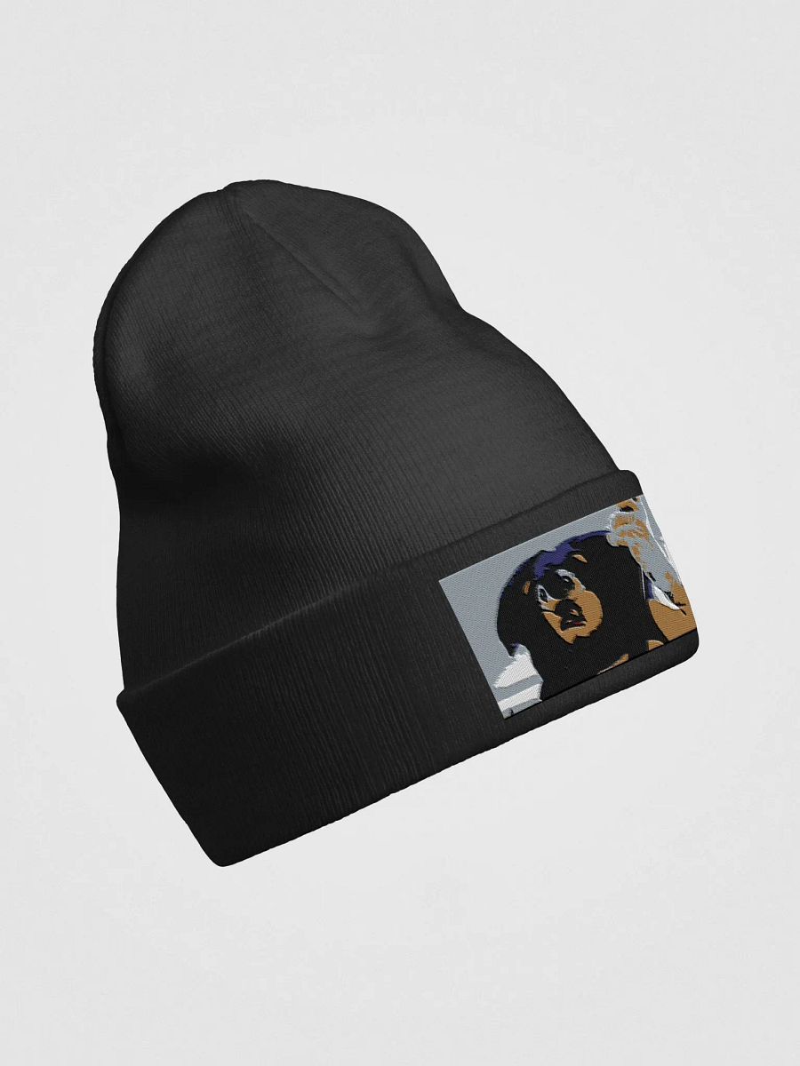 Sonic Beanie product image (3)