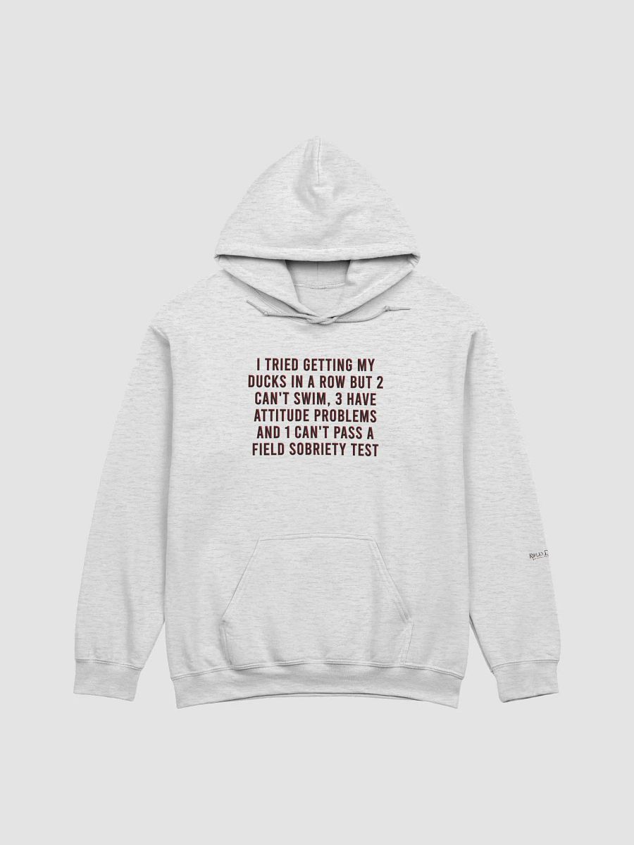 Ducks - Hoodie product image (4)