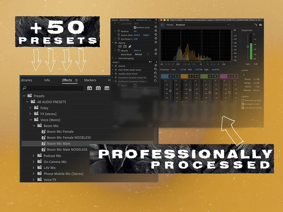 50+ Professional AUDIO Presets - Boom, LAV, On-Camera, FX, & More! Audio Processing For Premiere Pro. product image (2)