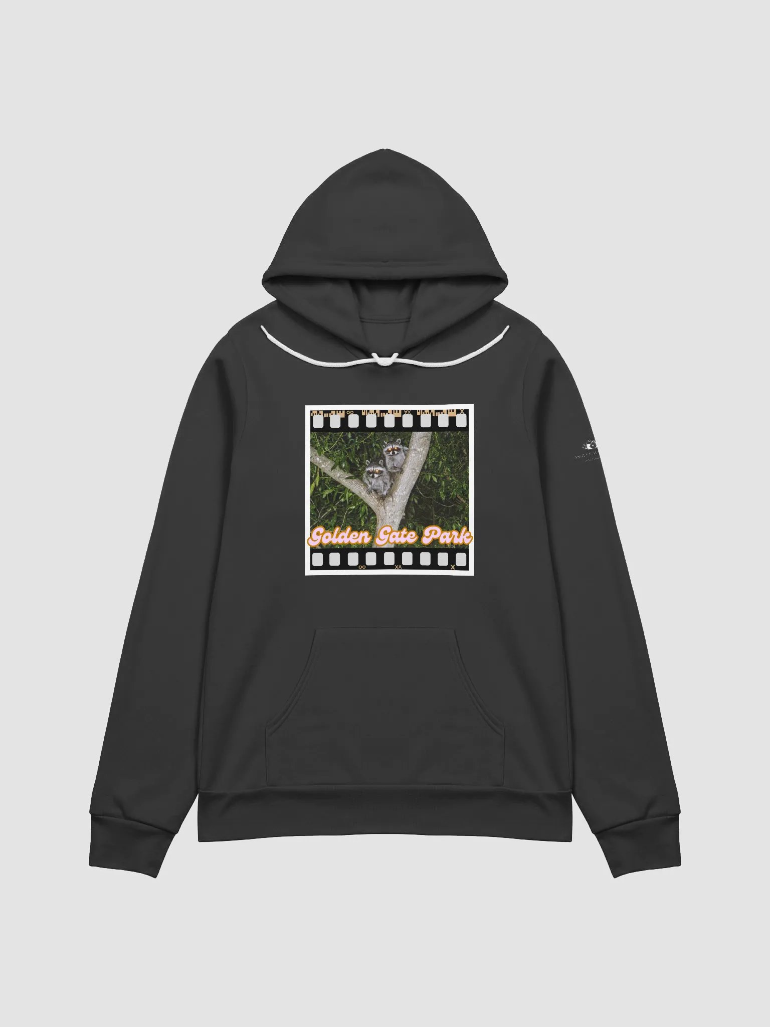 Golden Gate Park Raccoons Super Soft Hoodie (Black) product image (1)