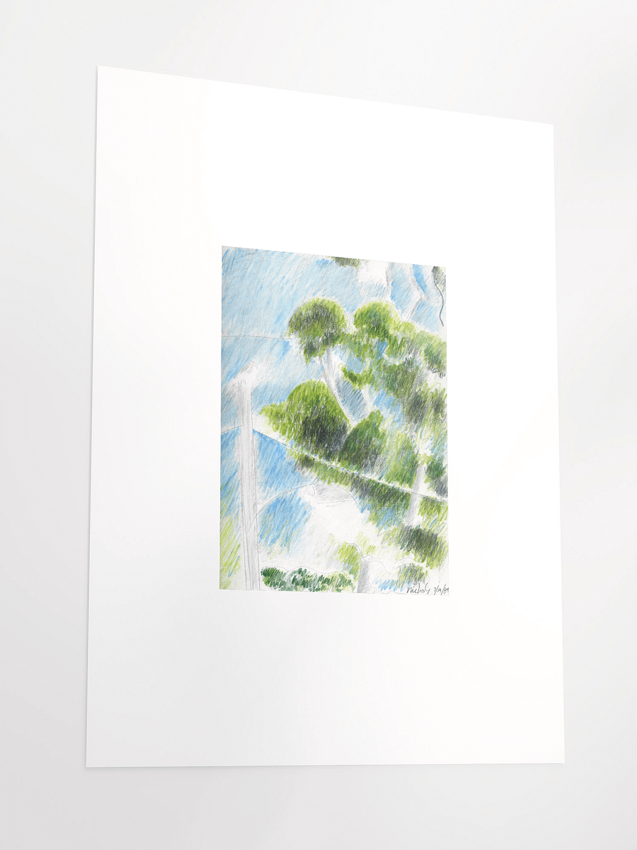 Eucalyptus 1984 print product image (4)
