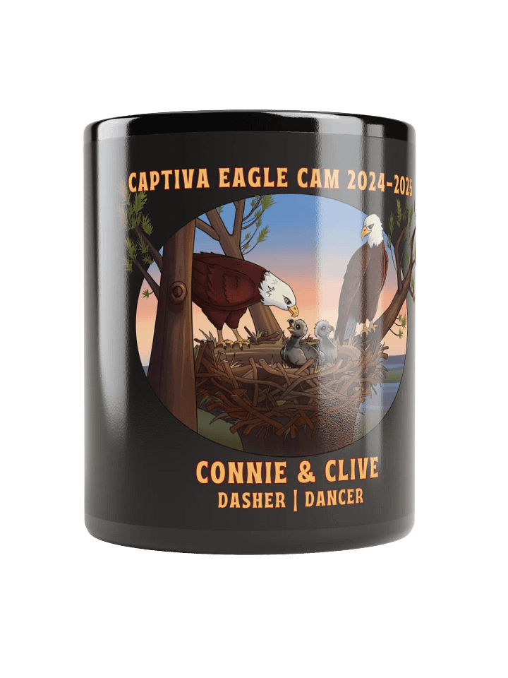Art | Black Mug | Captiva Eagle Cam 2024-2025 product image (1)