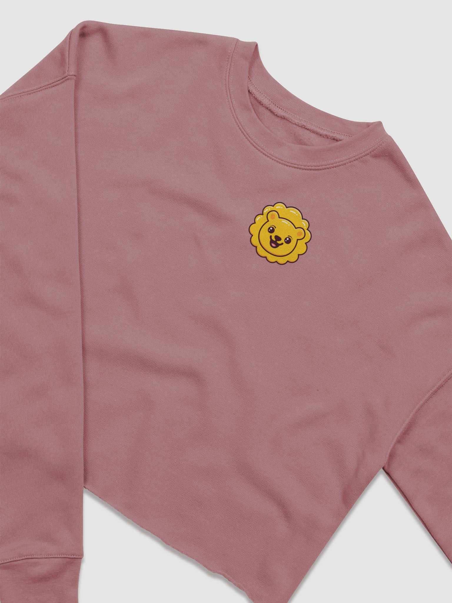 dandielyon cropped sweatshirt product image (8)