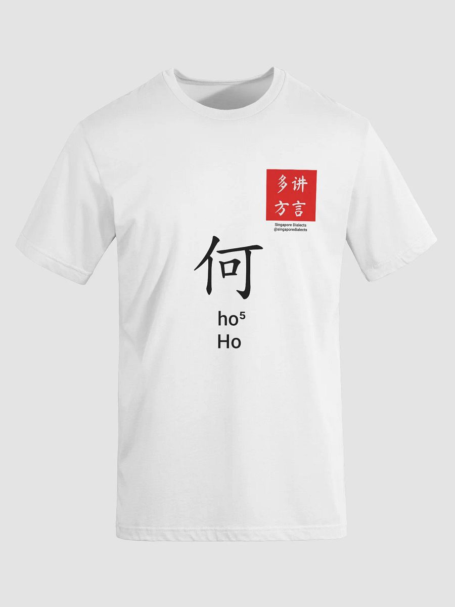 何 Ho (Teochew) Surname T-Shirt (Light) product image (8)