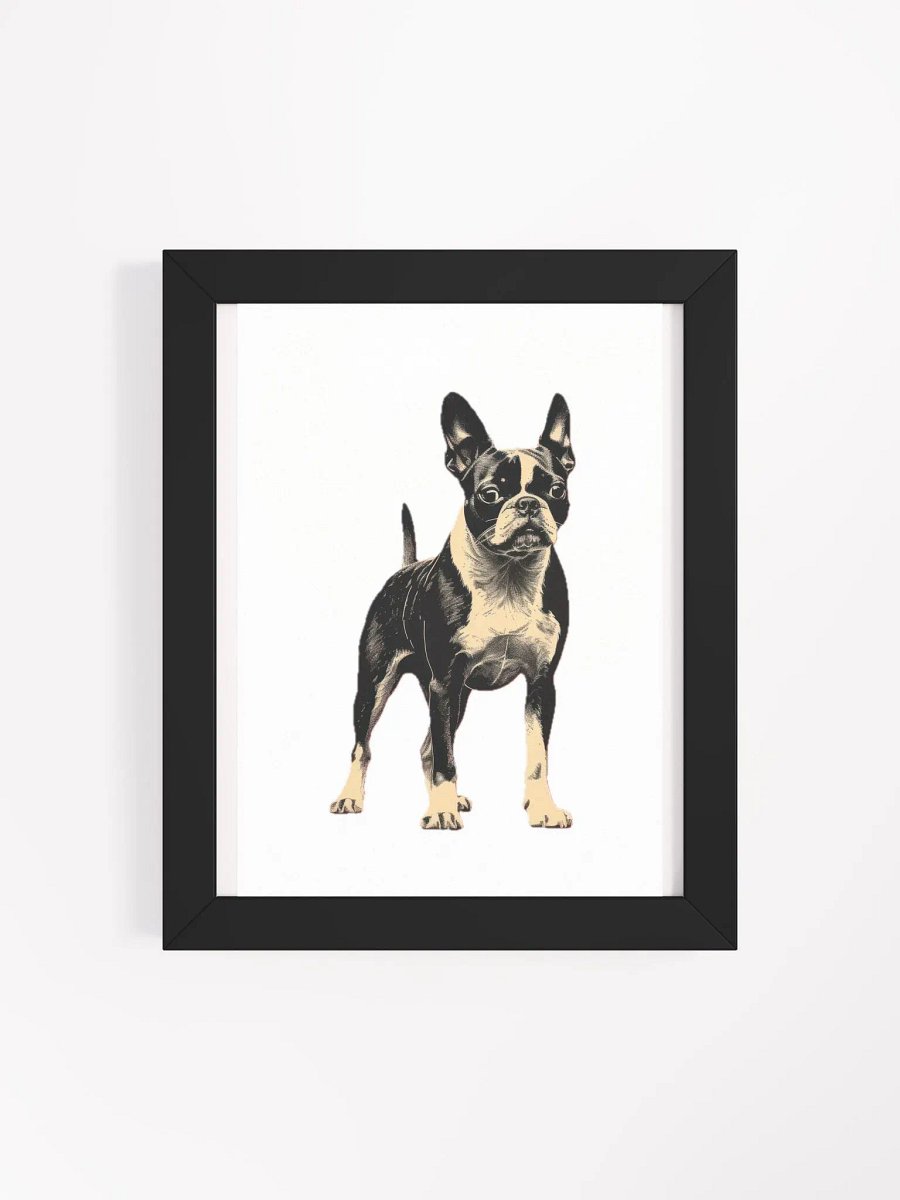 Boston Terrier product image (30)