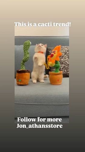 Cacti trend! 
. 
Follow us for more 👉@jon_athansstore 👈
Follow us for more 👉@jon_athansstore 👈
. 
. 
. 
. 
. 
. 

#funny #pet...