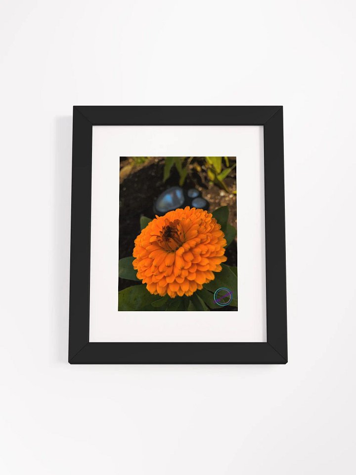 Orange in bloom product image (1)
