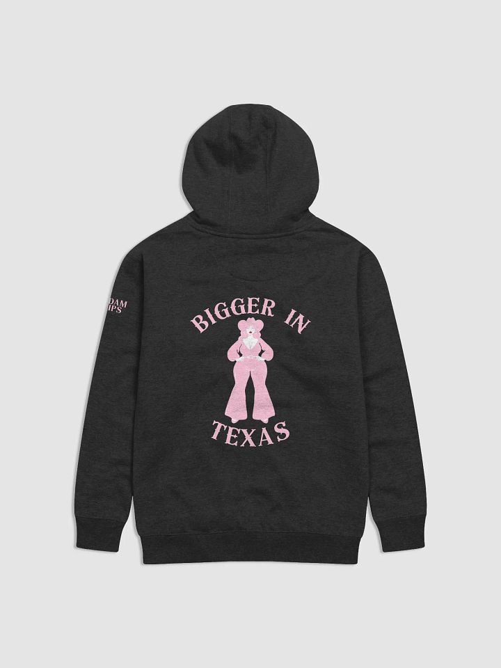 Bigger In Texas Hoodie | PINK product image (13)