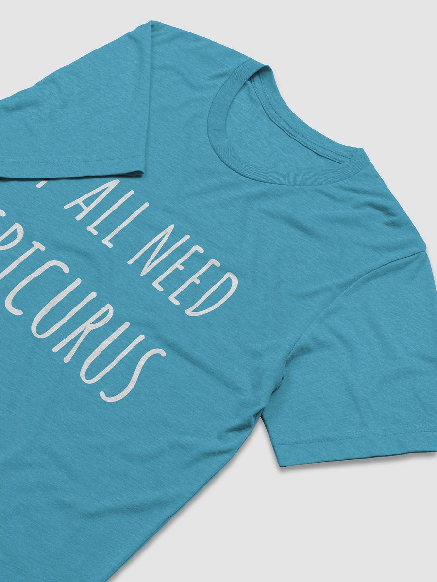 Y'all Need Epicurus (Bella+Canvas Triblend Short Sleeve T-Shirt) product image (28)