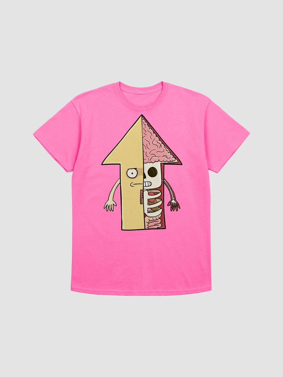 Anatomien av ein Føkøpp product image (2)
