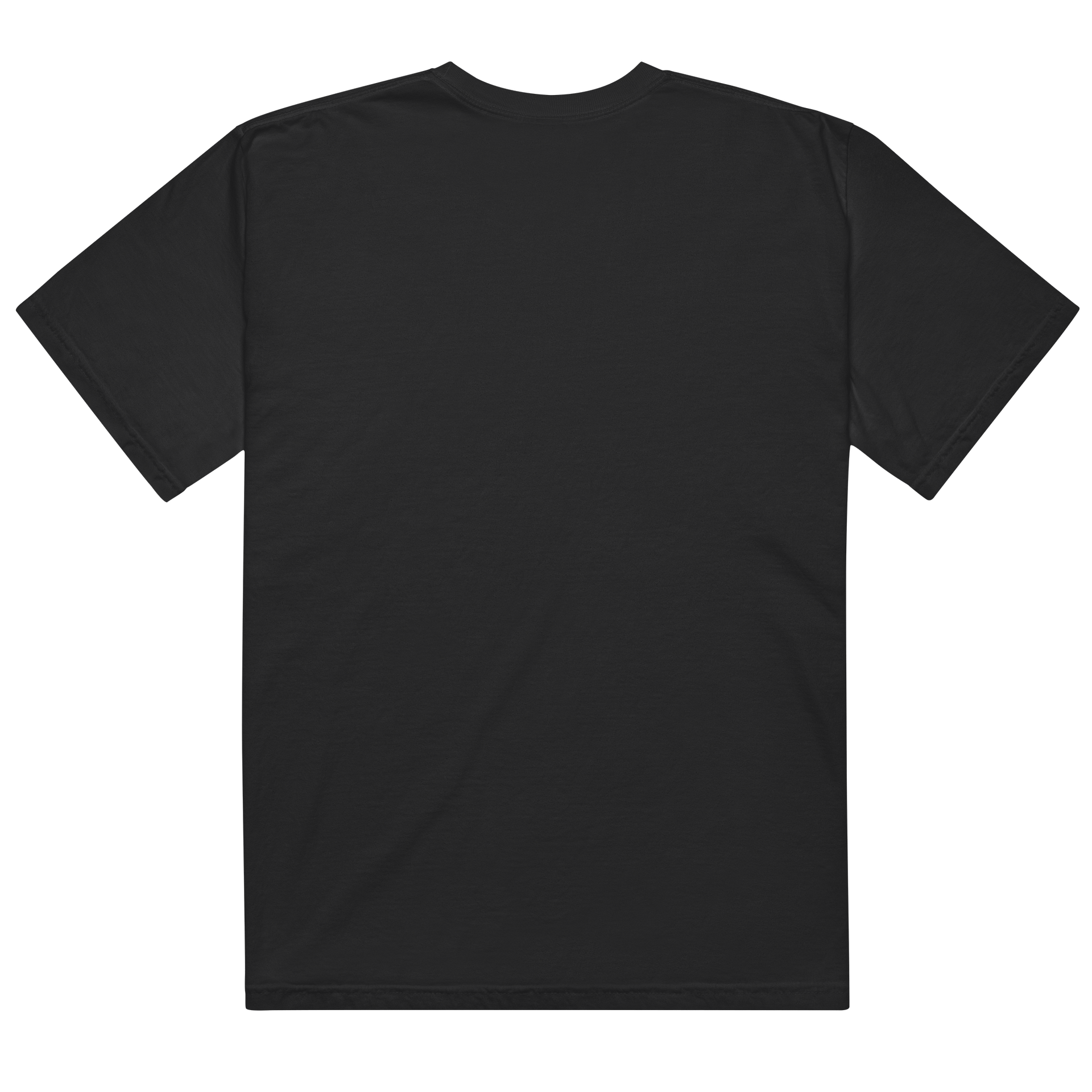 Wish I Could've Been There T-Shirt product image (3)