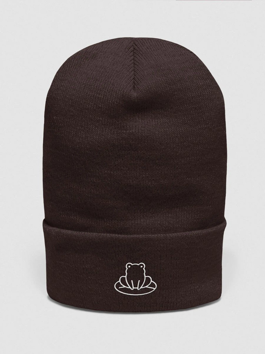 "Warm Hugs" Frog Dark Beanie product image (1)