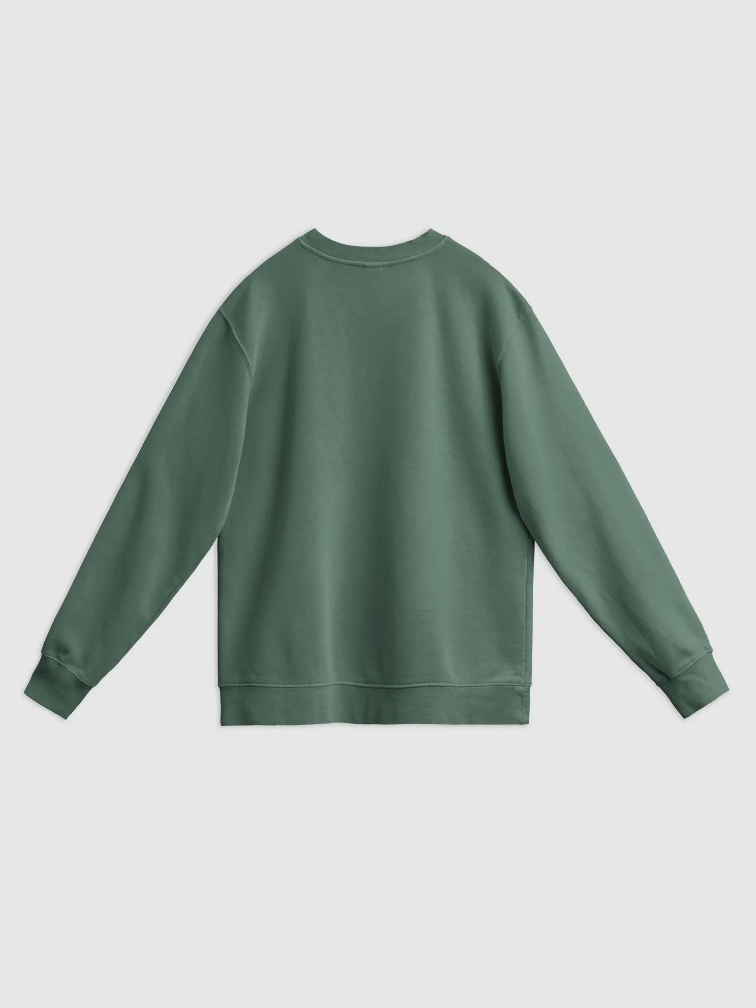 HABITUAL INSTIGATOR (sage design) printed pigment crewneck product image (12)