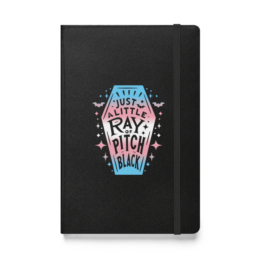 Little Ray Trans Flag Journal product image (1)