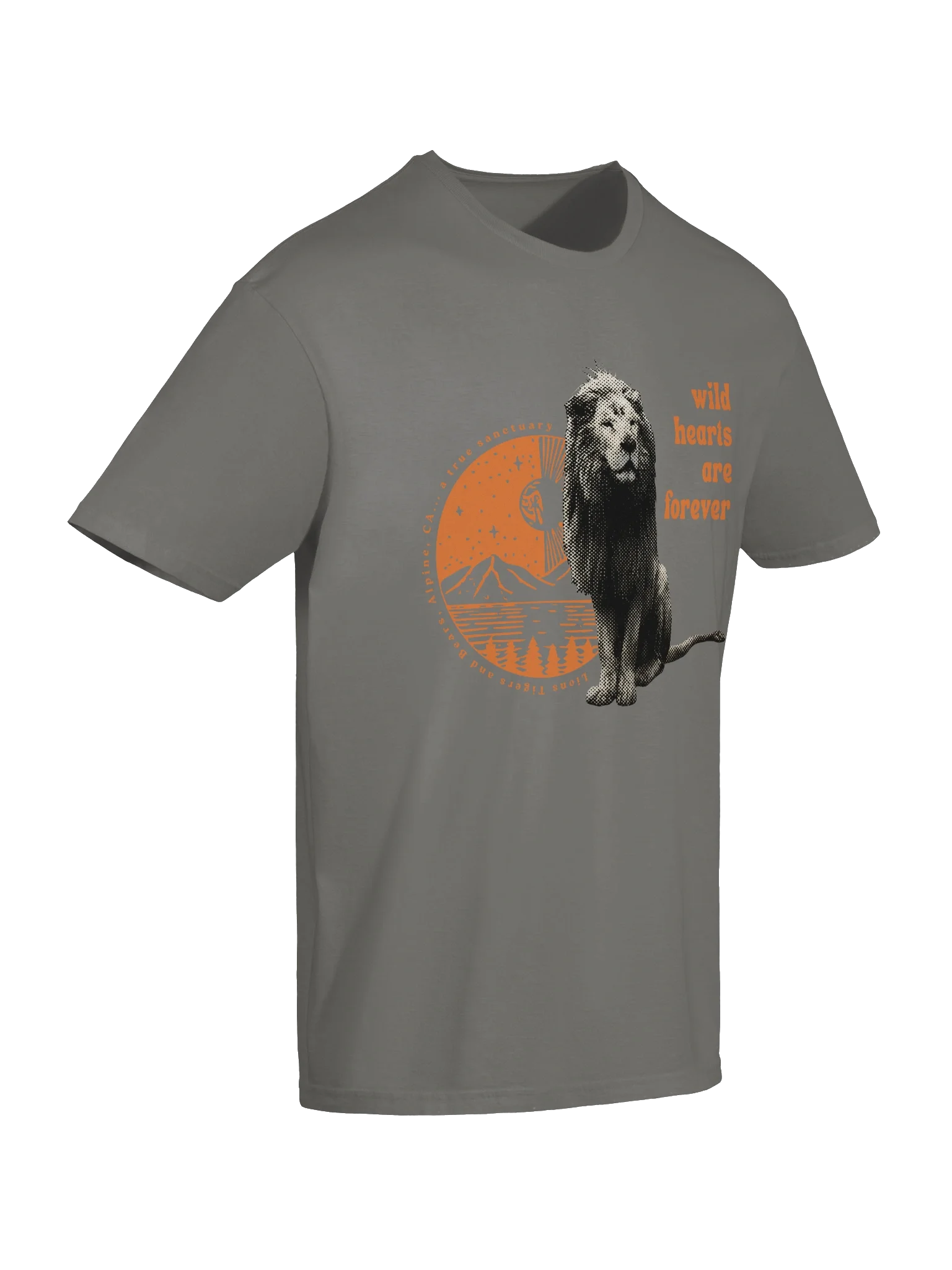 Wild Hearts Soft-style Tee product image (10)