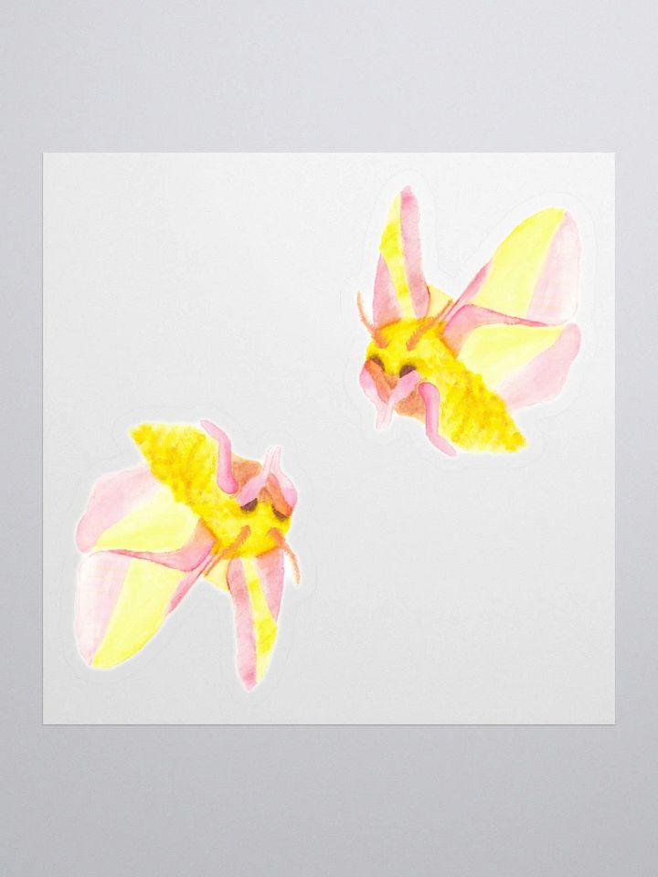 Rosy Maple Moth Sticker (x2) product image (1)