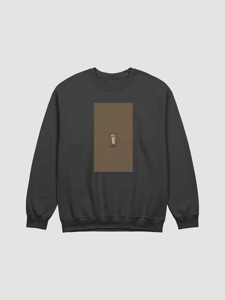 Regular Show Cartoon Raccoon Rigby Sweatshirt product image (12)