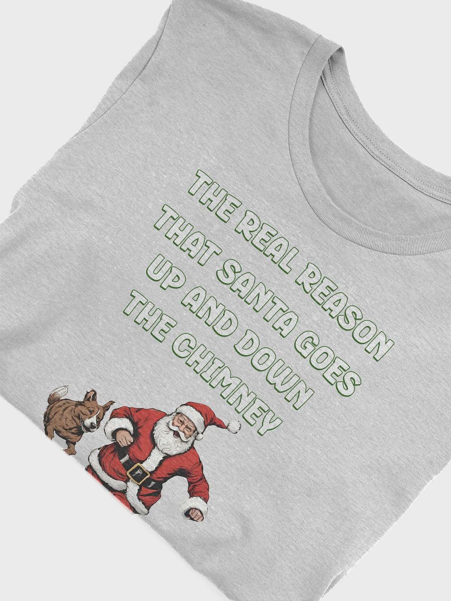 The Real Reason That Santa Use The Chimney T-shirt product image (28)