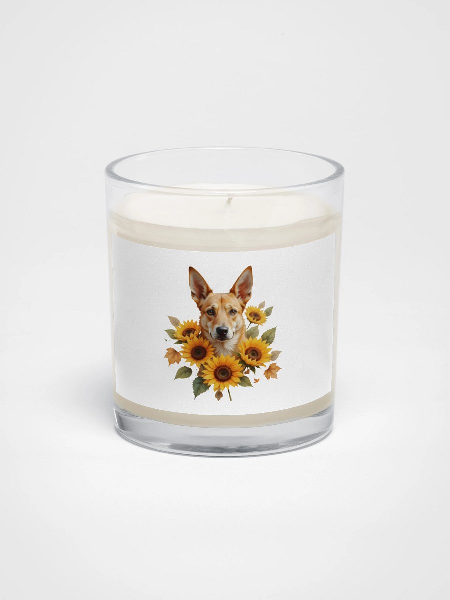 Potcake & Sunflowers product image (1)
