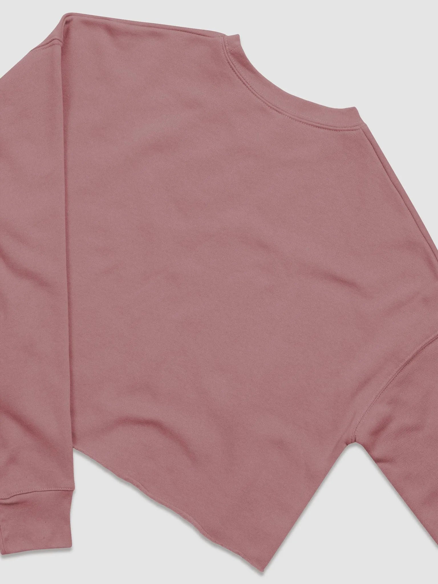 Rupees Crop Sweatshirt product image (7)