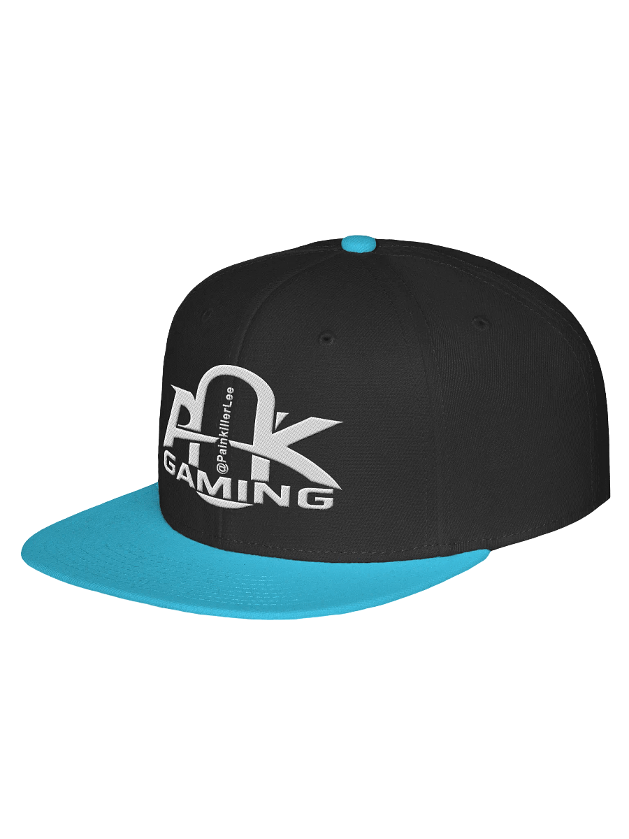 Snapback Cap with PainkillerLee Logo product image (15)
