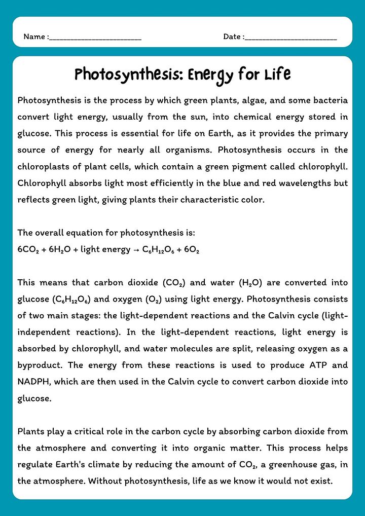 Photosynthesis Reading Comprehension Passage with Questions (PDF Download) product image (1)