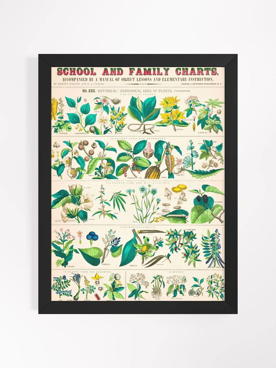 Botanical Uses Framed Art Print product image (3)