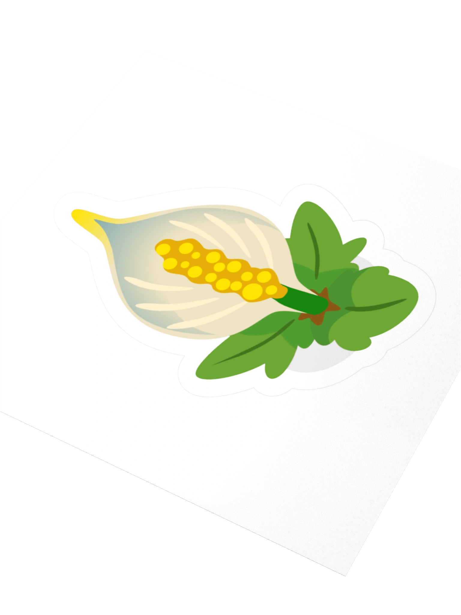 Lily product image (3)