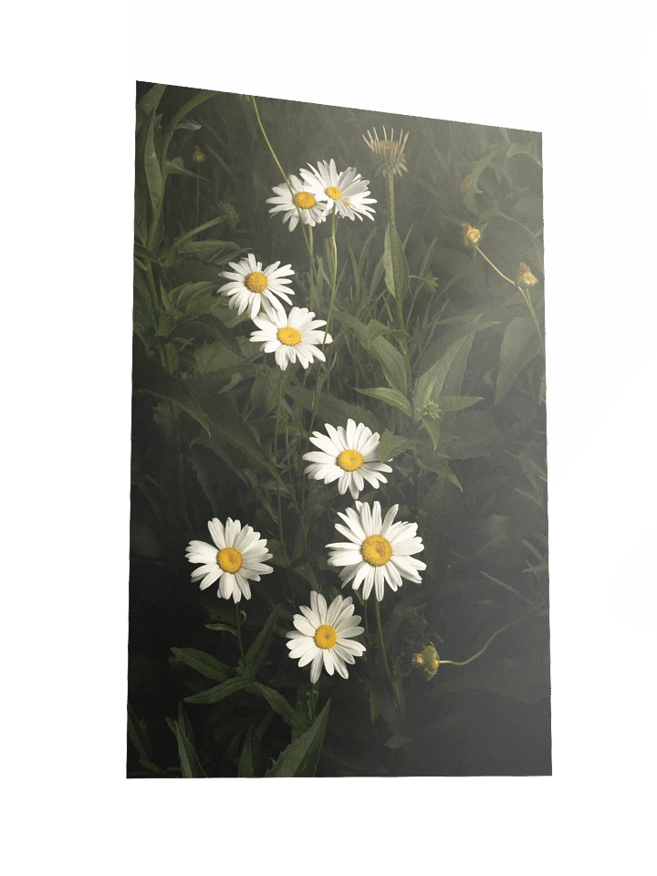 Cascading White Daisies product image (2)