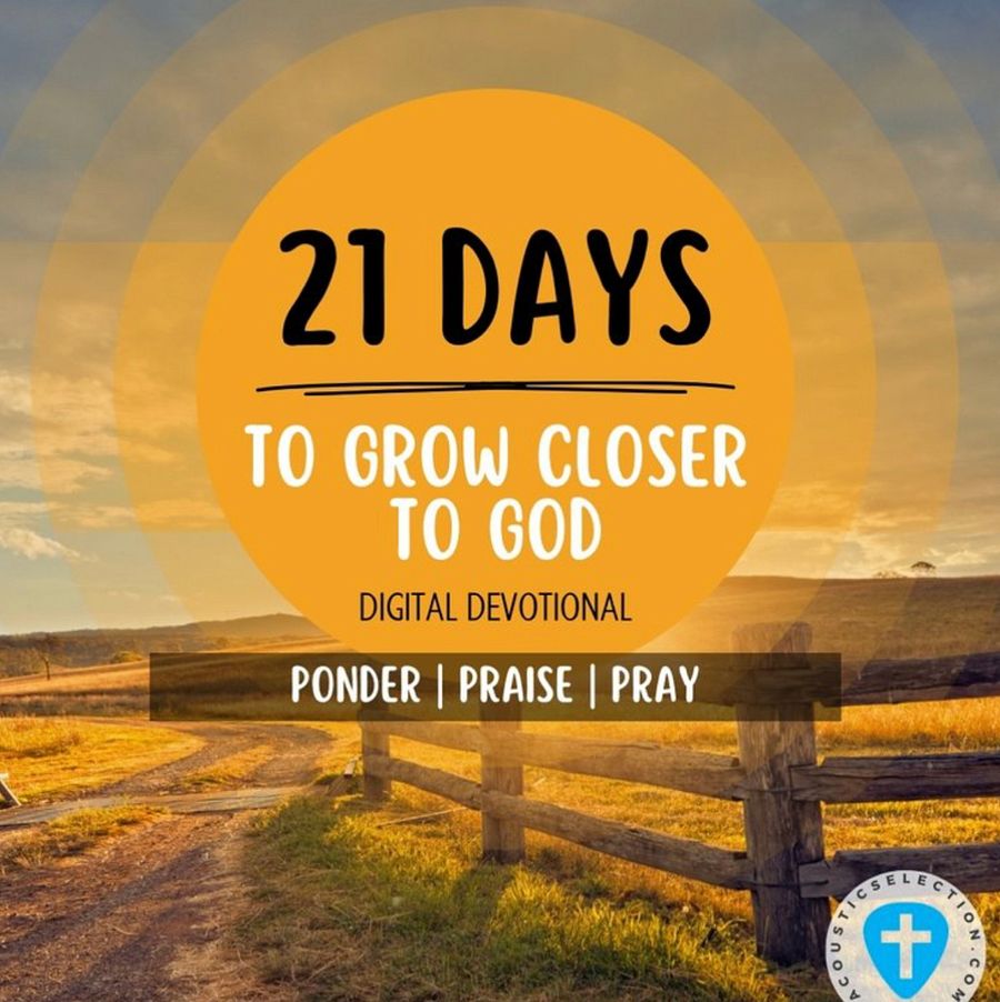 21 Day Devotional (Ponder / Praise / Pray) product image (1)