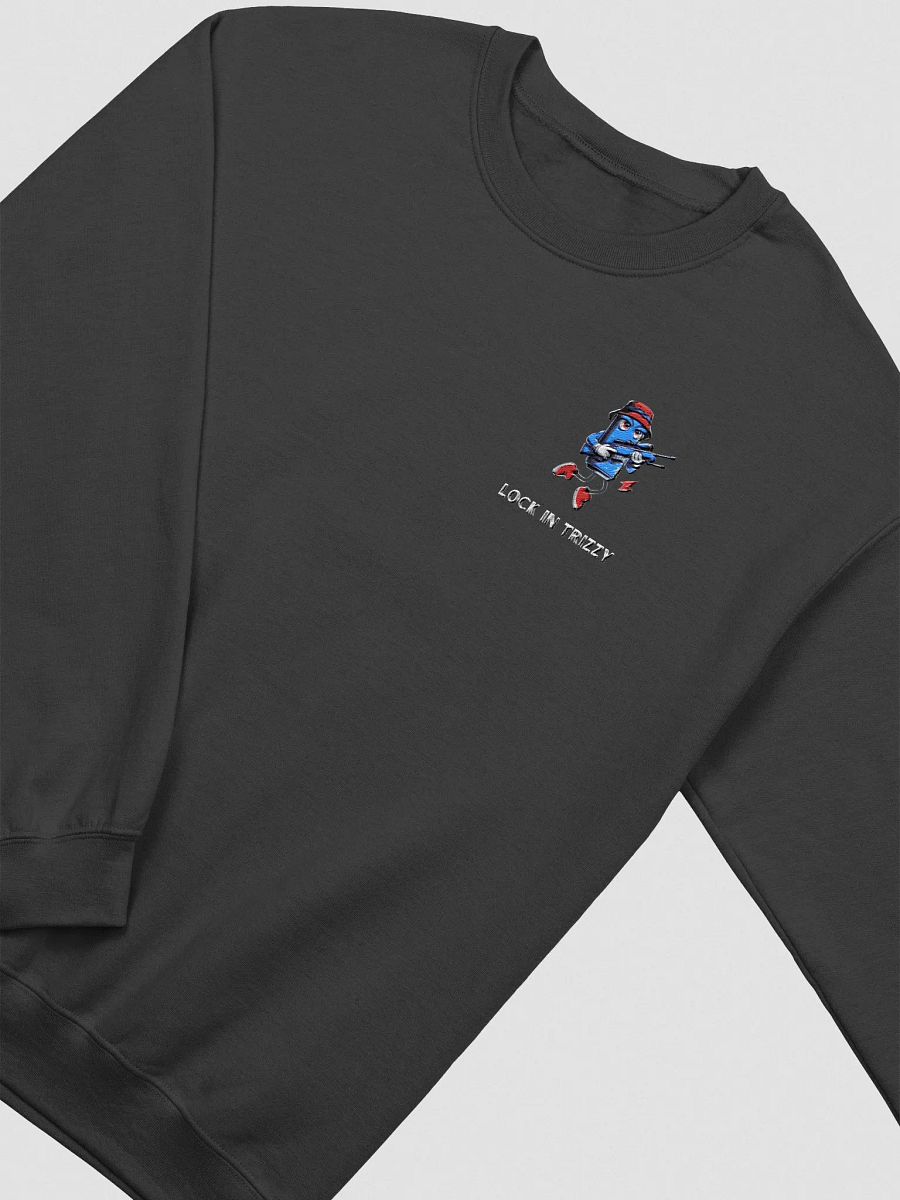 Embroidered Lock in Trizzy Sweatshirt product image (3)