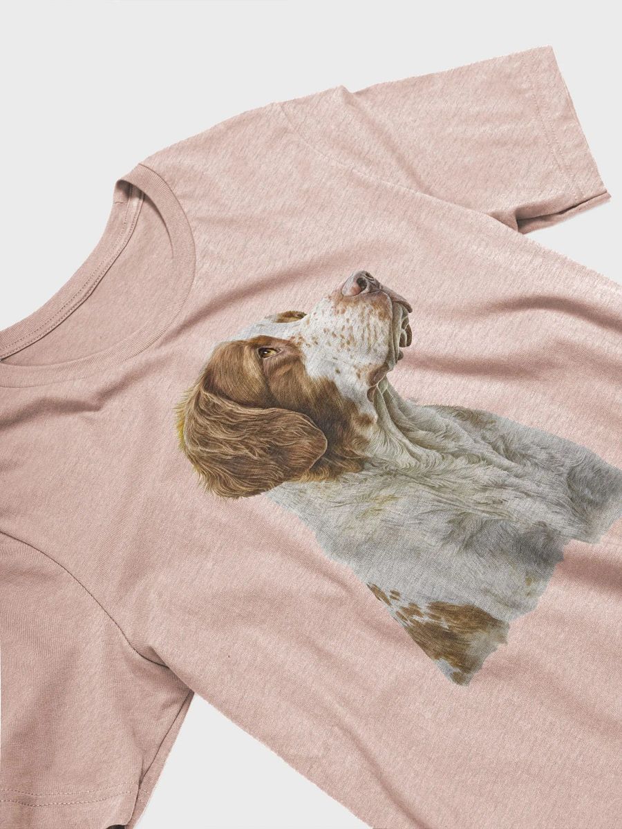 Brittany Spaniel product image (2)