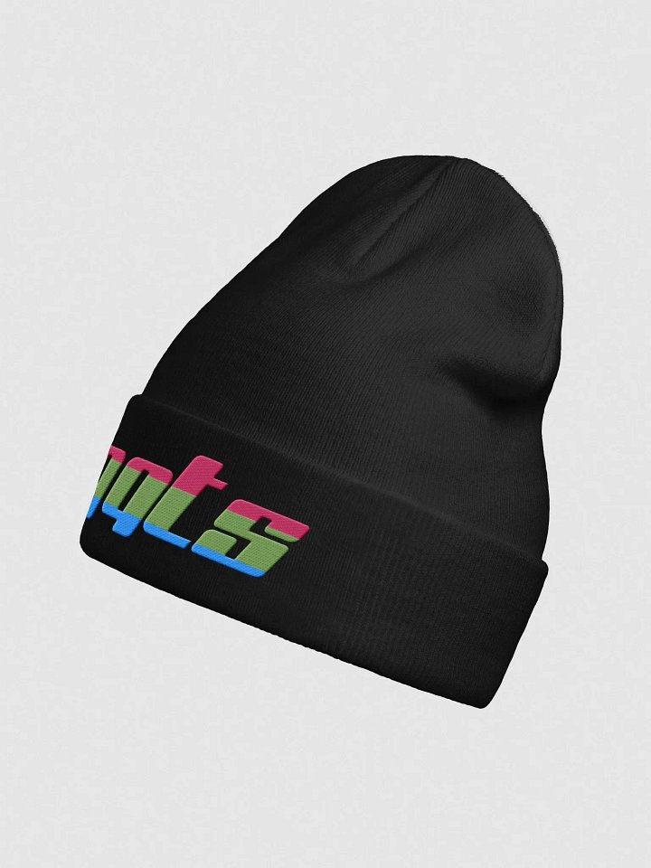 QQts Polysexual Logo Beanie product image (9)