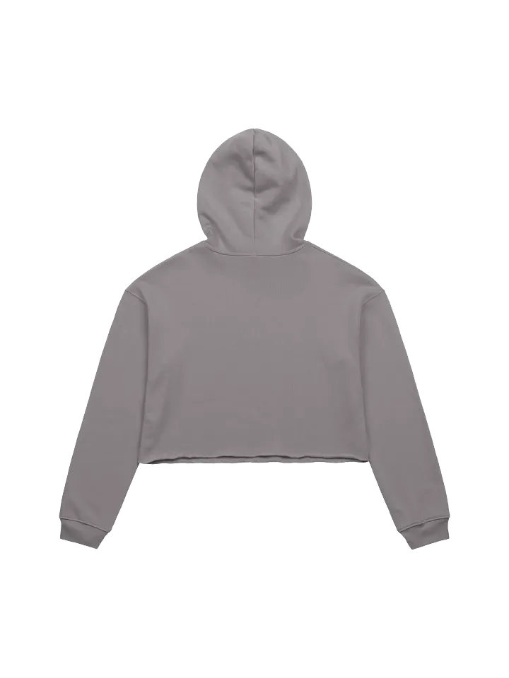 JonSandman Crop Hoodie product image (2)