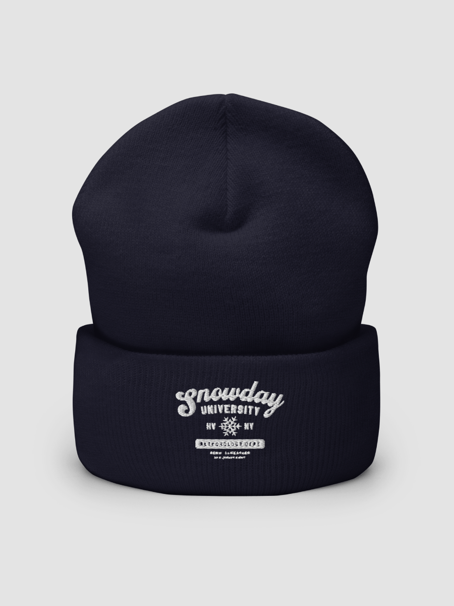 Snowday University beanie product image (2)