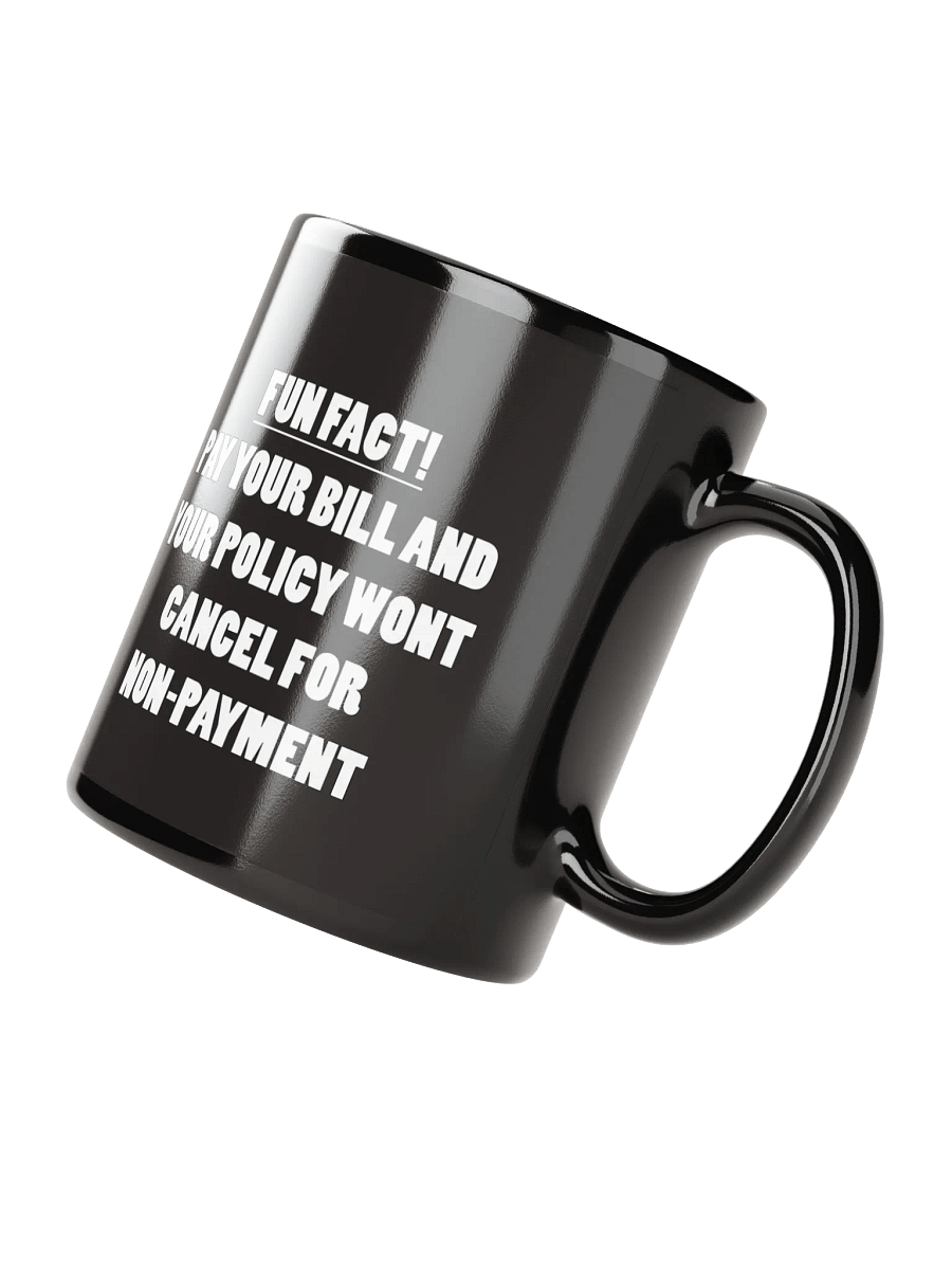Fun Fact! product image (4)