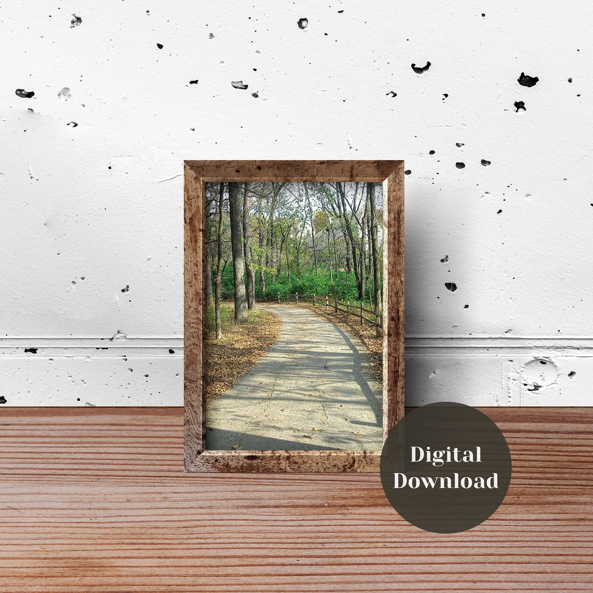 Path Less Travelled Photographic Print product image (3)