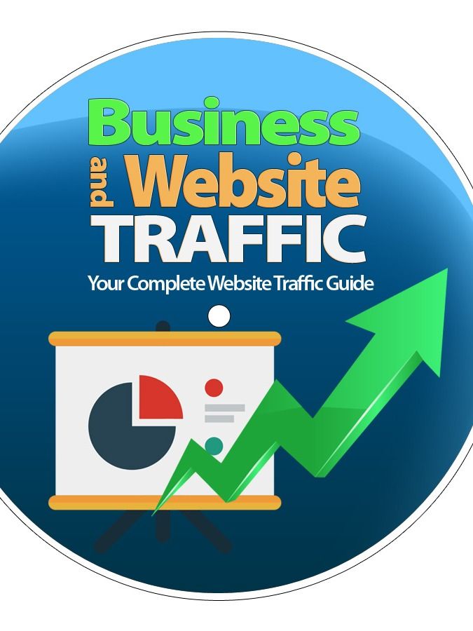 Business and Website Traffic- Your Complete Website Traffic Guide product image (3)