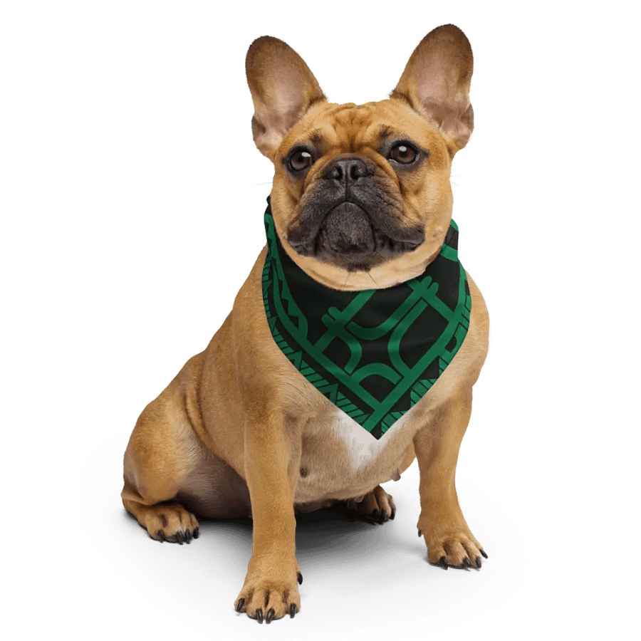 Symmetric TATAU ARANUI Bandana product image (6)