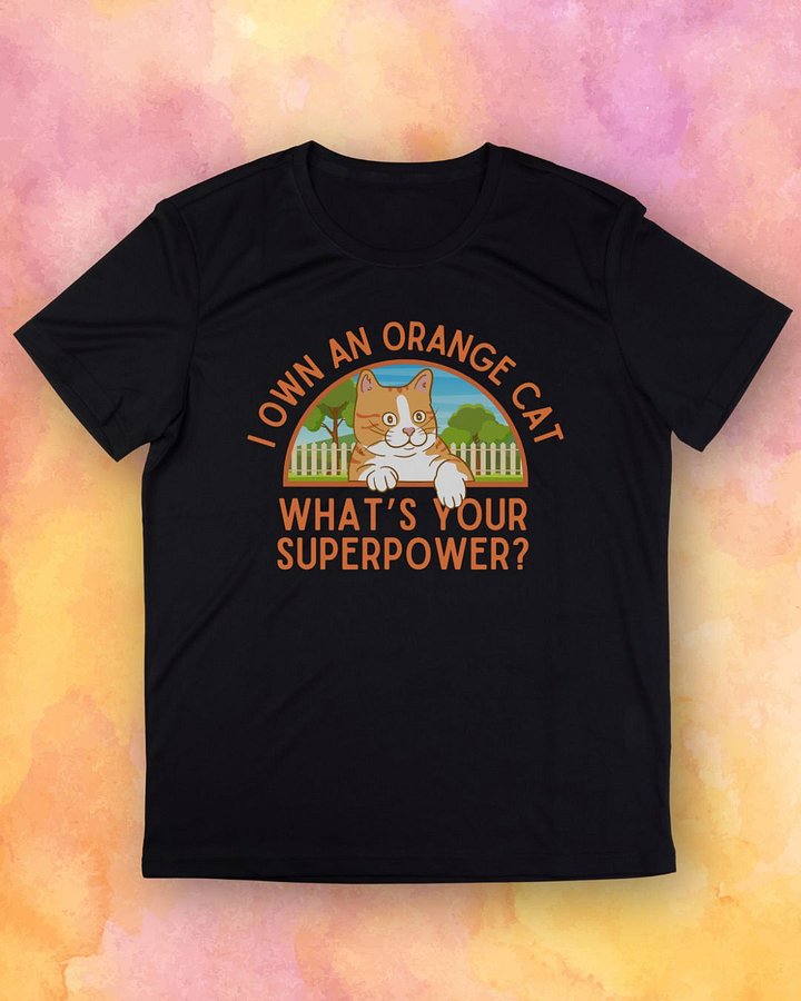 I Own an Orange Cat T-Shirt product image (1)