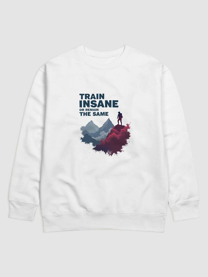 Peak Performance Insanity Sweatshirt product image (1)