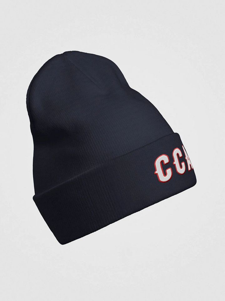 Express Male "CCA" Bold Knit Beanie - DARK NAVY product image (2)