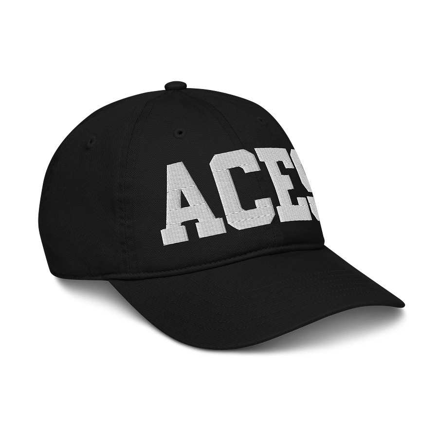 Aces Organic Dad Hat by Econscious product image (6)