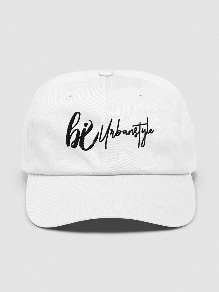 Embroidery Hat Bi urban style product image (1)