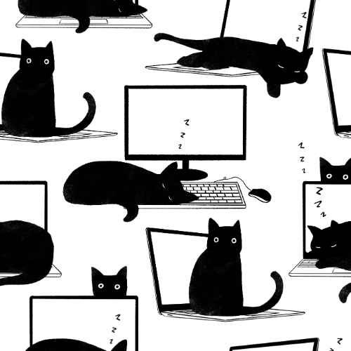 Cats Sleeping on Laptops